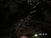 s_PICT0006_thumb.png